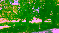 Ausblick
