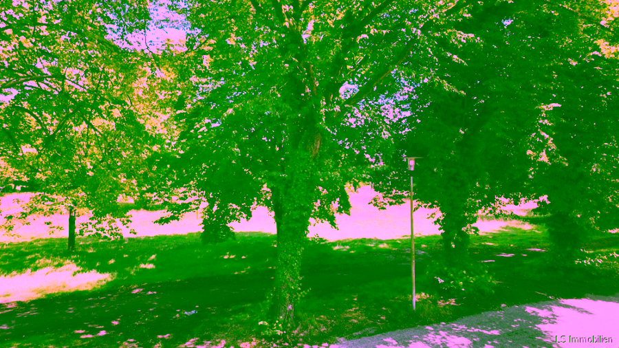 Ausblick