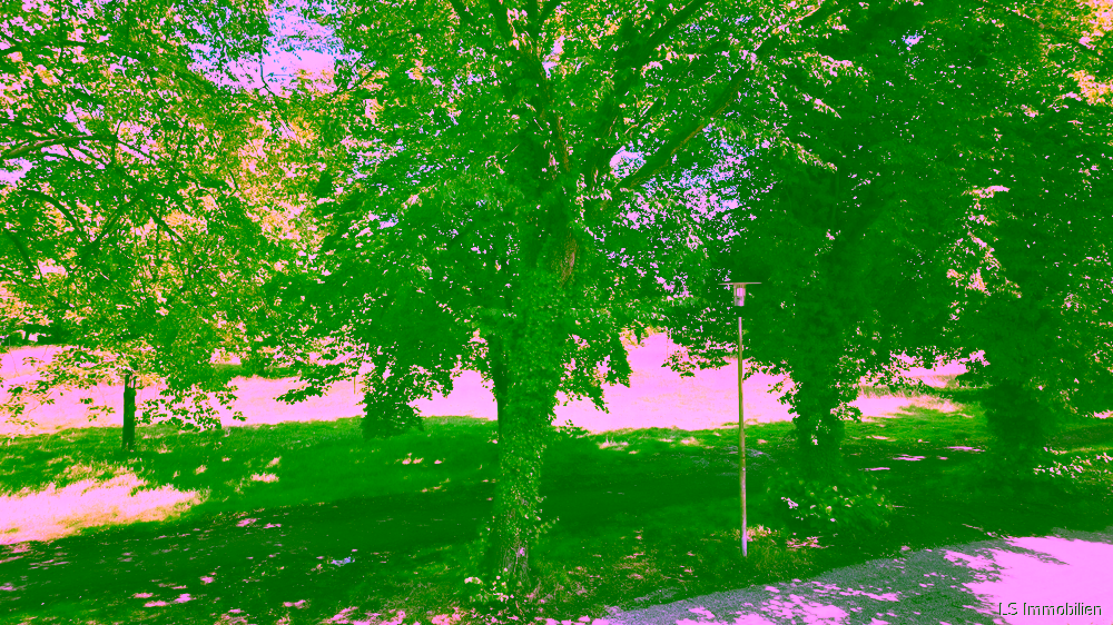 Ausblick