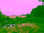 Ausblick Garten