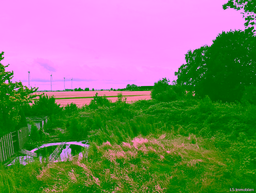Ausblick Garten