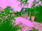 Ansicht hinten - Sanierungsfähiger Bungalow in Sackgassenlage mit großzügigem Grundstück