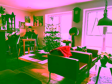 Moderne Zwei-Zimmer-Erdgeschosswohnung mit großer Terrasse und Garten in Wardenburg - Photo 1