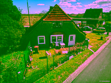 Charmantes Bauernhaus mit großem Potenzial in Bockhorn-Steinhausen ,Sanierung, Neubau oder Teilverkauf möglich, 26345 Bockhorn, Einfamilienhaus